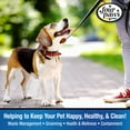 thumbnail image 5 of Four Paws Dog Tie Out Cable - Medium Weight - Red(20"), 5 of 7