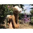 thumbnail image 5 of Peluche de caballo de alta calidad, muñeco de peluche, regalo de cumpleaños para niños, princesa, príncipe, poni, juguete de peluche, 5 of 5