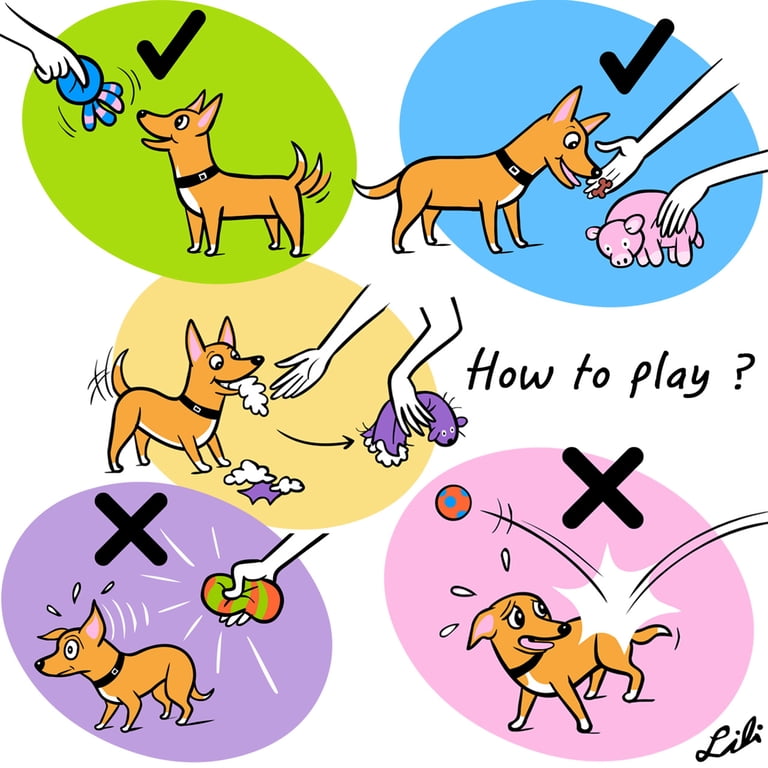2 stuks piepende hondenbal latex rubber hondenspeelgoed voetbal kauwspeelgoed fetch worpbal hondenbal voor het gooien fetch speelgoed voor puppy honden katten interactieve hondenspeelgoed tanden 2 stuks piepende hondenbal latex rubber hondenspeelgoed voetbal kauwspeelgoed fetch worpbal hondenbal voor het gooien fetch speelgoed voor puppy honden katten interactieve hondenspeelgoed tanden