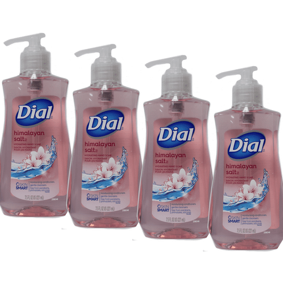 Dial Complete Liquid Moisturizing Hand Soap Himalayan Salt 7.5 oz Pack of 4