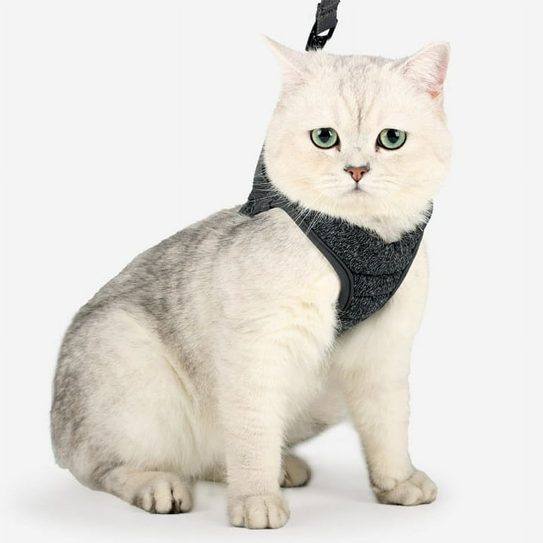 Dooradar Cat Harness and Leash Set, Escape Proof Safe Adjustable Kitten  Vest Harnesses for Walking, Easy Control Soft Breathable Mesh Jacket with