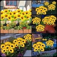 thumbnail image 5 of 27.56 inch Six Head Solar Sunflower Lamp, LED Waterproof Garden Stake Light, Elegant Outdoor Yard Ornament, Artistic Landscape Lighting for Patio and Garden Scenery, 5 of 6