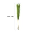 thumbnail image 2 of Uxcell 8Pcs Hierba Pampas Falsa 21" Pampas Falsas para Decoración de Bodas Verde Hierba, 2 of 7