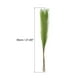 thumbnail image 2 of Uxcell 8Pcs Hierba Pampas Falsa 21" Pampas Falsas para Decoración de Bodas Verde Hierba, 2 of 7