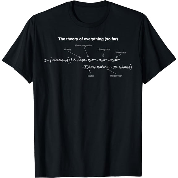 The theory of everything (so far) equation