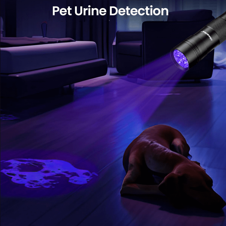 MEOWWWTHRA】スドラ(パープル)蓄光 Lumatek Zeus | 600W | Pro | 2,9 - Cannabis seeds a