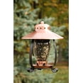 thumbnail image 2 of Audubon & Woodlink 991016 1.25 lbs Lantern Bird Feeder, 2 of 4