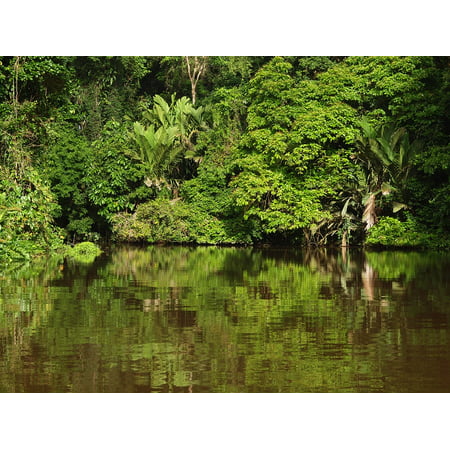 Canvas Print Tropics Tortuguero National Park Costa Rica Stretched Canvas 10 x