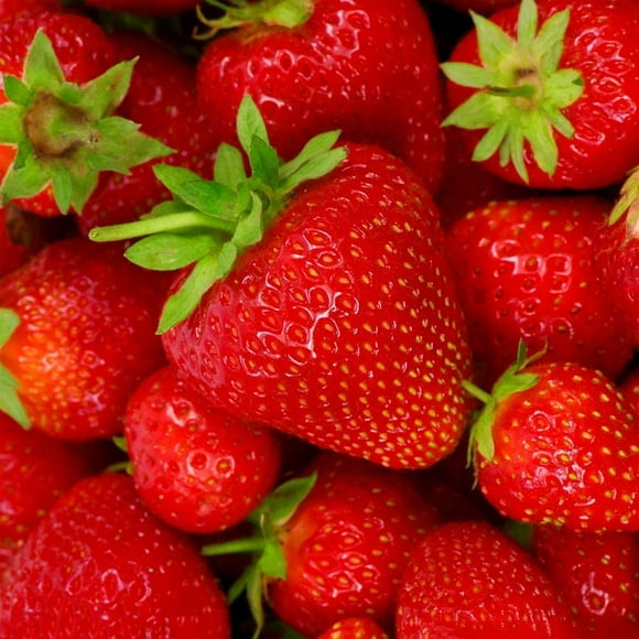 shiyou-100pcs Red Sweet Cute Strawberry Seeds Climbing Fruit Grown in The Home Garden High Production High Germination Rate Can Be Grown and Placed Indoors