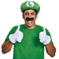 thumbnail image 2 of Disguise LUIGI ACCESSORY KIT ADULT costume, 2 of 2