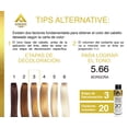 thumbnail image 4 of TINTE ALTERNATIVE CARE 5.66 BORGOÑA 90g, 4 of 5