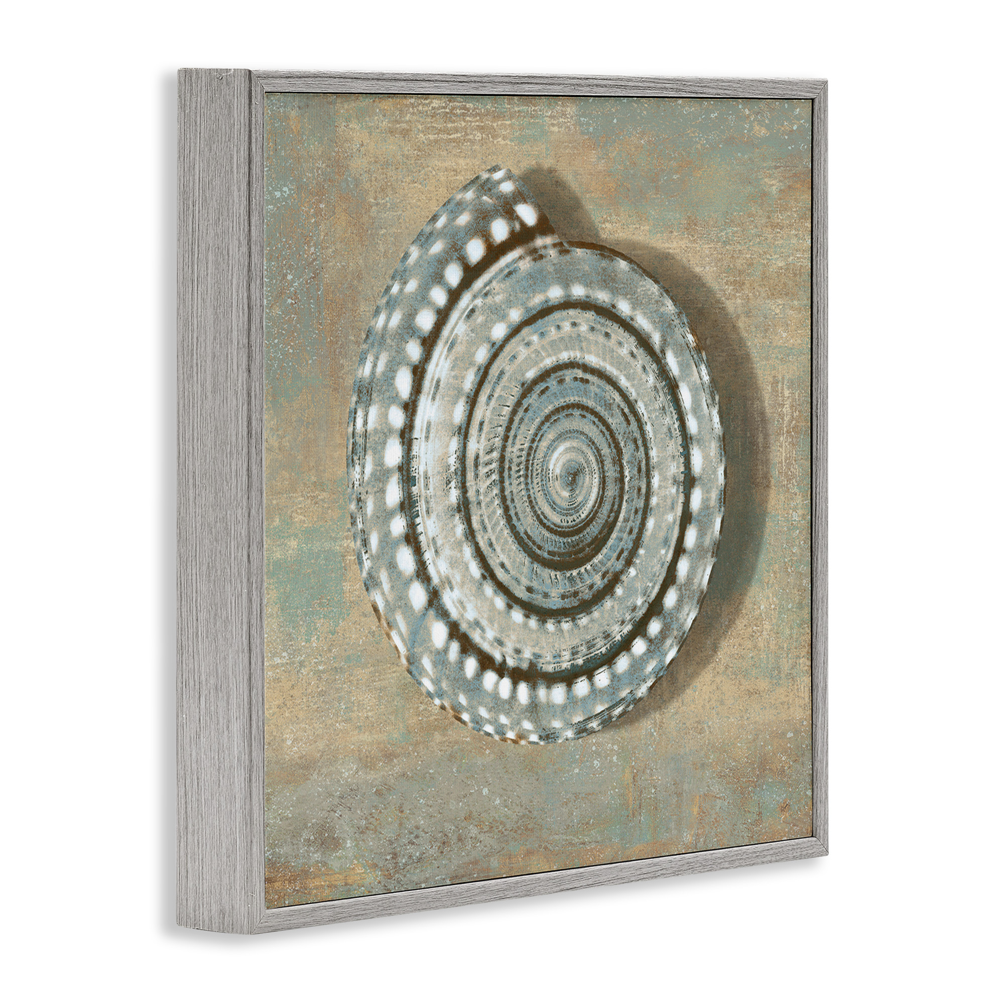 Stupell Industries Spiral Shell Beach Objects Design Nature Painting Gray Framed Art Print Wall Art, 17 x 17