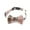 dog collars for small dogs, variant on English Style Pet Collar Bow With Bell And Safety Socket, Adjustable Strap Collar For Dogs Cats Rabbits