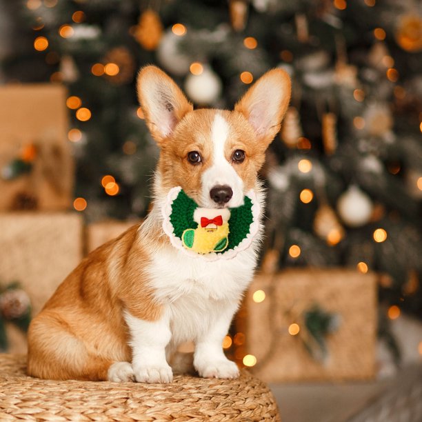 Pulsera para perro bufanda de lana navideña, correa clida tejida a mano, adorno de Navidad, suave lana, resistente, para paseos, para perros pequeños, foldable, tejido 100% algodn, para