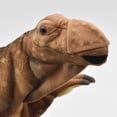 thumbnail image 3 of Hansa - Muttaburasaurus, 16", 3 of 3