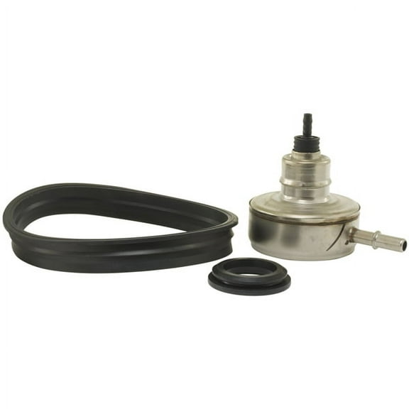 Fuel Injection Pressure Regulator