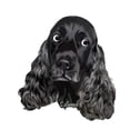 thumbnail image 3 of CafePress - Cute Black Cocker Spaniel Portrait Print Pajamas - Women's Light Pajamas, 3 of 4