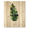 thumbnail image 3 of Designart 'Single Banana Leaf On White' Bohemian & Eclectic Print on Natural Pine Wood, 3 of 5