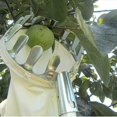 thumbnail image 1 of [16 cm de diámetro] Yeoman Recolector de frutas de metal Telescópico Huerto Jardinería Herramienta para recoger árboles grandes 1 pieza, Plata, 1 of 3