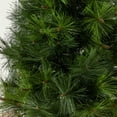 thumbnail image 7 of Nearly Natural 3 ft. Pre-lit Christmas Tree with Burlap Bag - Clear Lights, 7 of 7