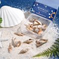 thumbnail image 4 of 1 caja de 16 piezas de 4 estilos de conchas marinas en espiral galvanizadas, dijes artesanales, conectores, colgantes, dijes de conchas marinas con aro dorado chapado, 4 of 9