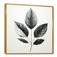 thumbnail image 2 of Designart "Outlined In Black Onyx Leaf" Leaves Floater Framed Canvas Prints, 2 of 5