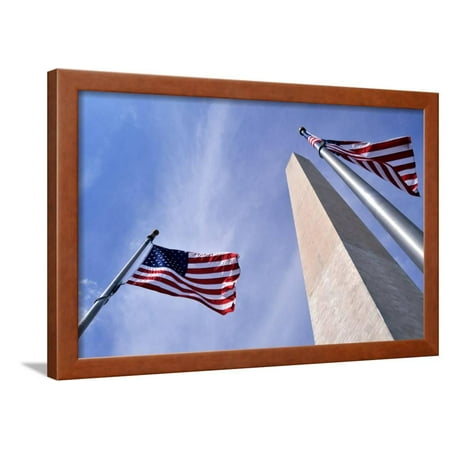 American Flags Surrounding the Washington Memorial on the National Mall in Washington Dc. Framed Print Wall Art By