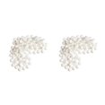 thumbnail image 1 of Transemion Solid Polystyrene Foam Balls For Model Making And Crafts Wedding Or Christmas. Also Kids Projects Type1 2PCS, 1 of 6