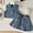 Blue, variant on RTKFRFLM Girls 2-Piece Denim Set Summer Sleeveless Frayed Hem Vest Jacket and Matching Pleated Skirt Trendy Casual Fashionable Outfits for Little Girls Ages 2-8 Years Clothes