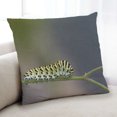 thumbnail image 1 of Ahgly Company Insects worm Indoor Throw Pillow, 18 inch by 18 inch, 1 of 6