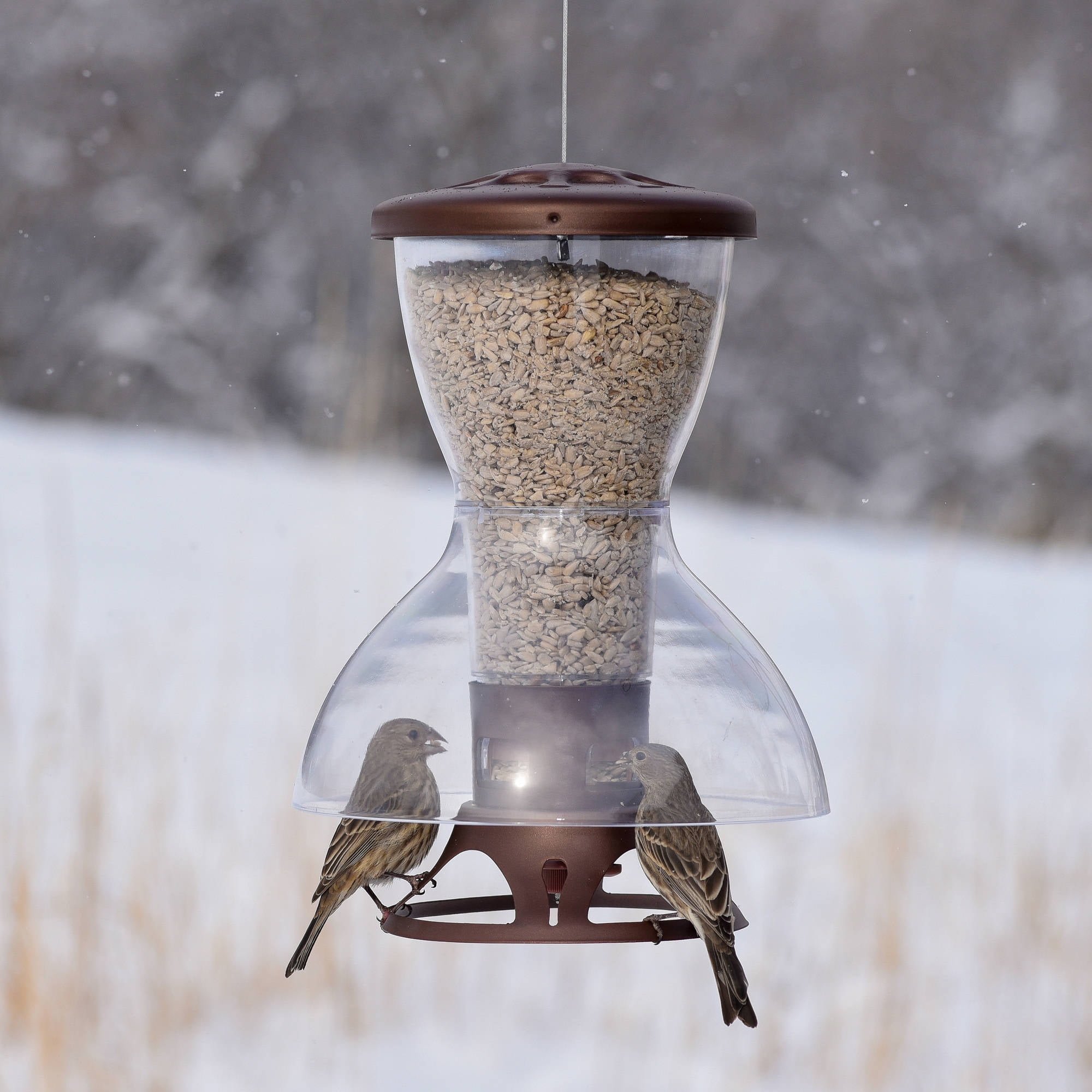 Perky Pet 3 5 Lb Fortress The Bird Shelter Squirrel Resistant Bird