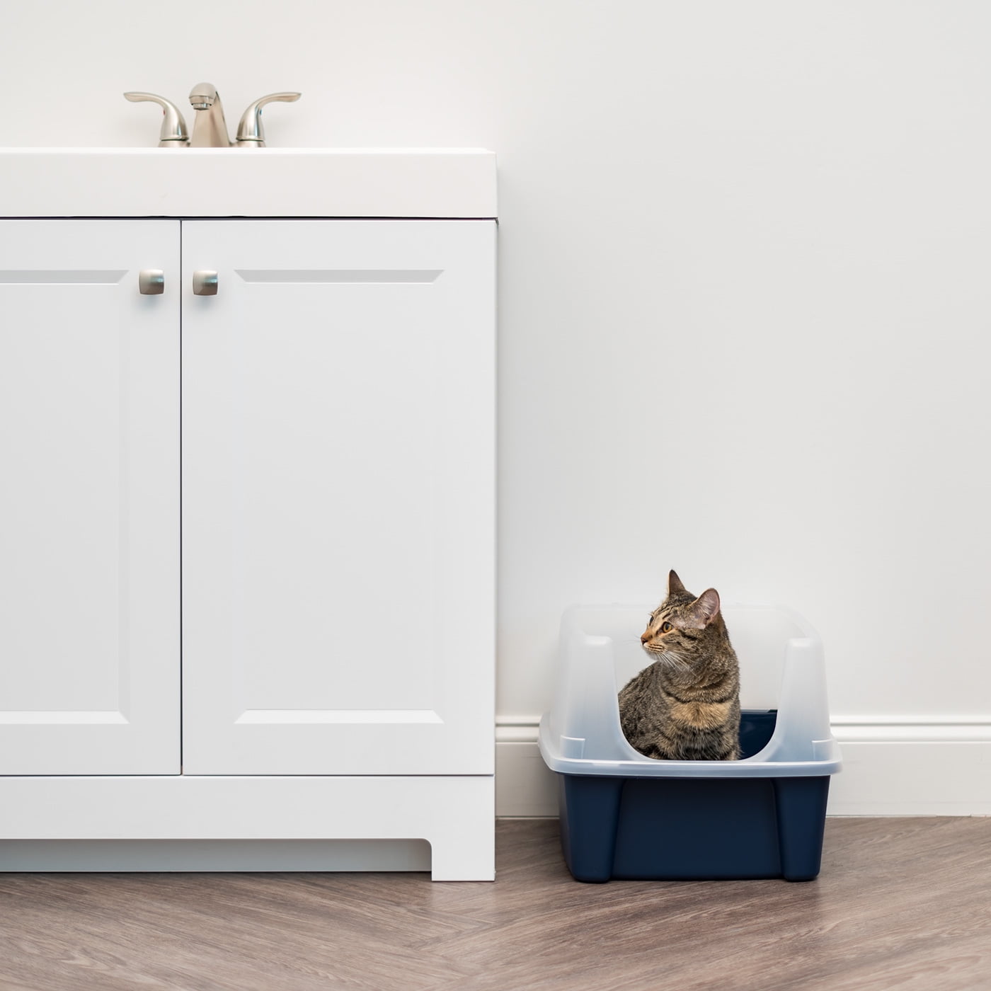 IRIS Open Top Cat Litter Box with Clear High Shield without Scoop Navy Walmart