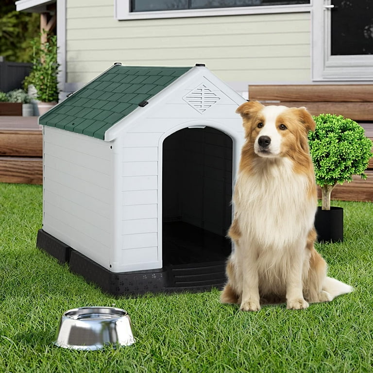 Cheap insulated dog clearance house