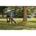 BLACK+DECKER BEBL7000 3N1 VACPACK 12 Amp Leaf Blower, Vacuum, and