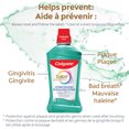 thumbnail image 2 of Colgate Total Active Prevention Alcohol Free Mouthwash, Spearmint, 1L, 2 of 9