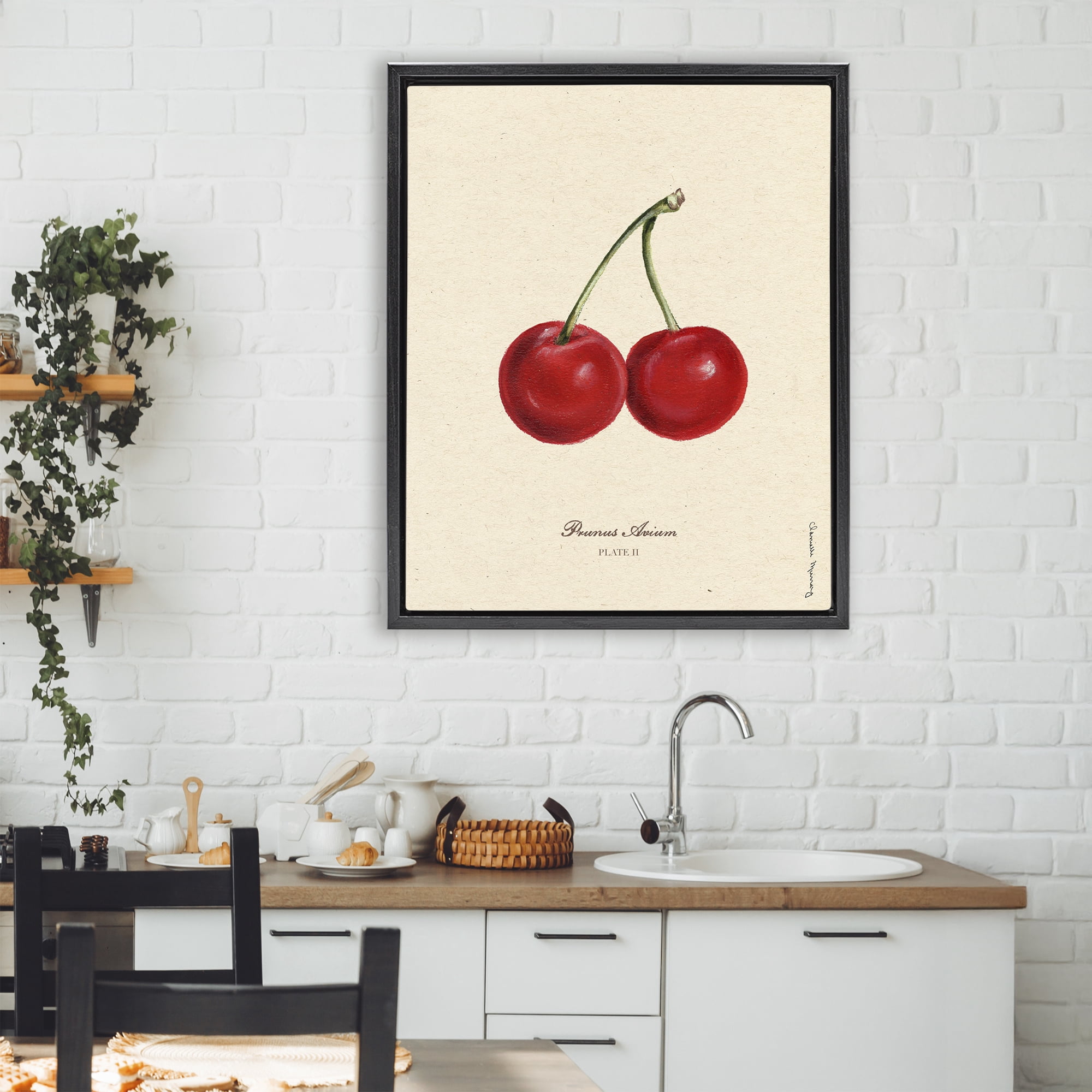 Stupell Industries Cherry Fruit Portrait Black Framed Floater Canvas Wall Art, design by Danielle Murray