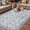 Blue, variant on Grey Flowers Outdoor Rug for Patio/Deck/Porch, Non-Slip Large Area Rug 4 x 6 Ft, Spring Floral Farmhouse Retro Art Indoor Outdoor Rugs Washable Area Rugs, Reversible Camping Rug Carpet Runner