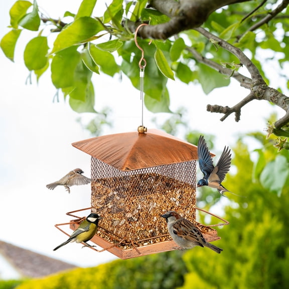 Bird Feeder, Heavy Duty Metal Bird Feeders for Outdoor Hanging, Wild Birdfeeder with Lid Buckle for Garden Yard Outside Backyard, 3.5LB Large Capacity