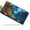 Enchanted Forest Moon, variant on License Plate, Cabo San Lucas Logo Decorative Front,Personalized Stainless Steel License Plate Cover For Men Women,12.2" X 6.2"