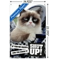 thumbnail image 3 of Grumpy Cat - Shut Up Wall Poster with Push Pins, 14.725" x 22.375", 3 of 3