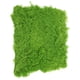thumbnail image 4 of ColoMX Césped de musgo simulado, liquen de musgo Artificial, estera de musgo falso, decoración de musgo de simulación, 4 of 8