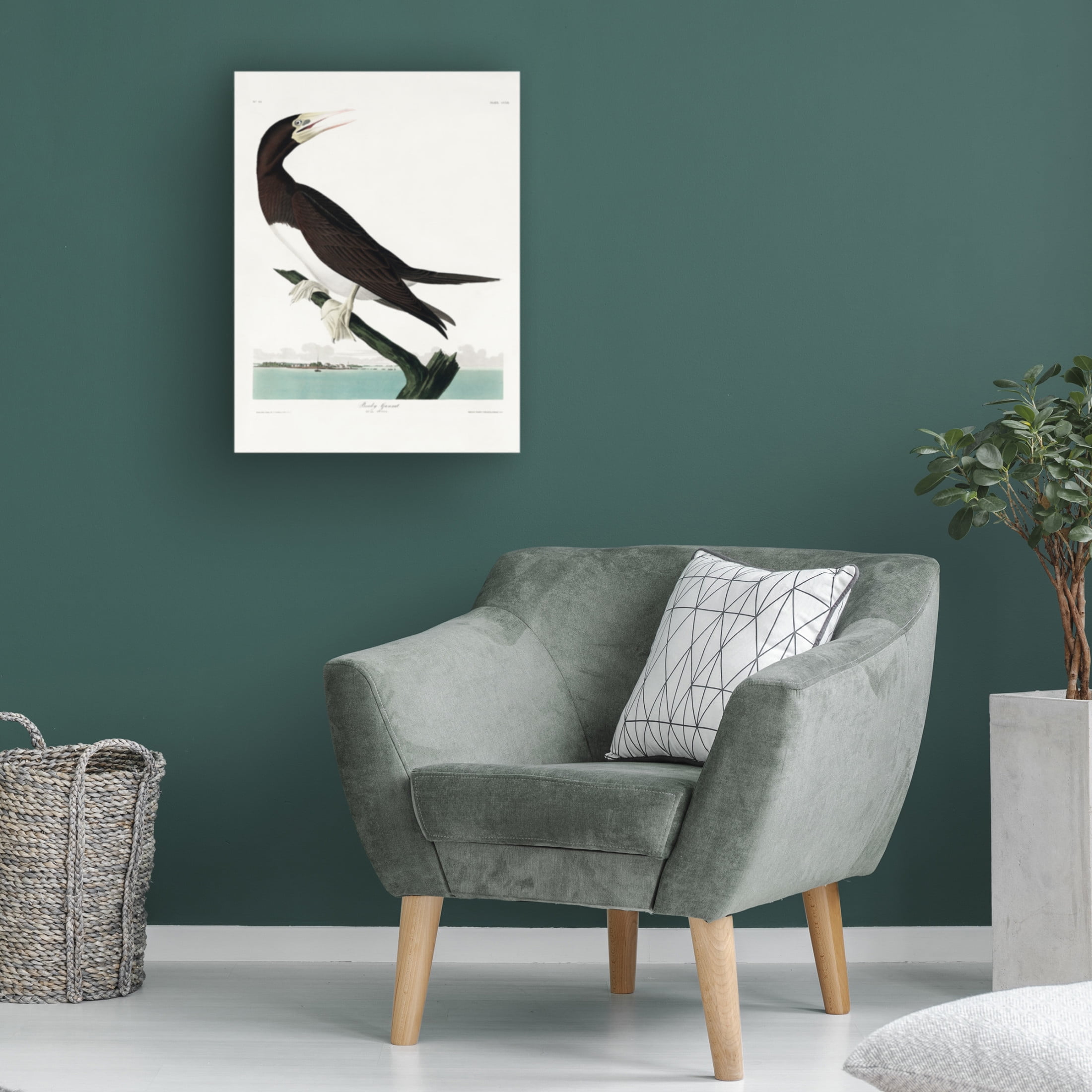 Trademark Fine Art Pictufy Booby Gannet From Birds of America 1827 Canvas Wall Art