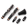 thumbnail image 2 of 17 Key Bb Clarinet Set, Professional Woodwind Instrument, Lightweight ABS Design with Gloves, Cleaning Cloth, Screwdriver & Reed Storage Case for Easy Maintenance, 2 of 6