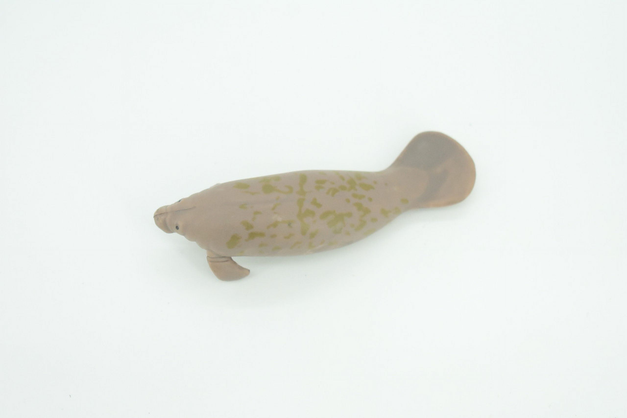 Manatee, Trichechus, Sea cow, Hand Painted, Educational, Rubber