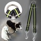 thumbnail image 5 of DEEPCRAFF Doble Correa Para Mascotas Color Con Reflectantes Y Ajuste Para Traje Perfecto, 5 of 8