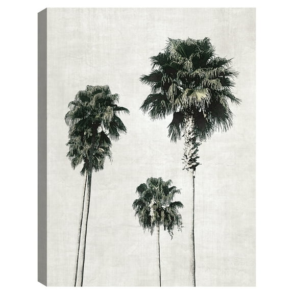 Sketchbook Palm by Natalie Carpentieri Canvas Art Print
