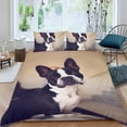 thumbnail image 2 of Boston Terrier Conjunto de sábanas temático, trío de piezas, cómodo y amigable con la piel, diseño único, regalo de decoración para el hogar para familiares, amigos y fans, 90 cm * 190 cm, 2 of 6
