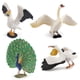 thumbnail image 2 of Juego de figuras Wildlife Bird, juguete realista de PVC para niños, 4 piezas, 2 of 3