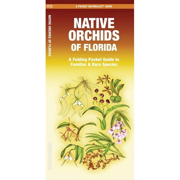Native Orchids of Florida, (Paperback)