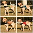 thumbnail image 2 of Arnés para perros Chaleco acolchado cómodo ajustable reflectante para medianos y grandes, 2 of 8